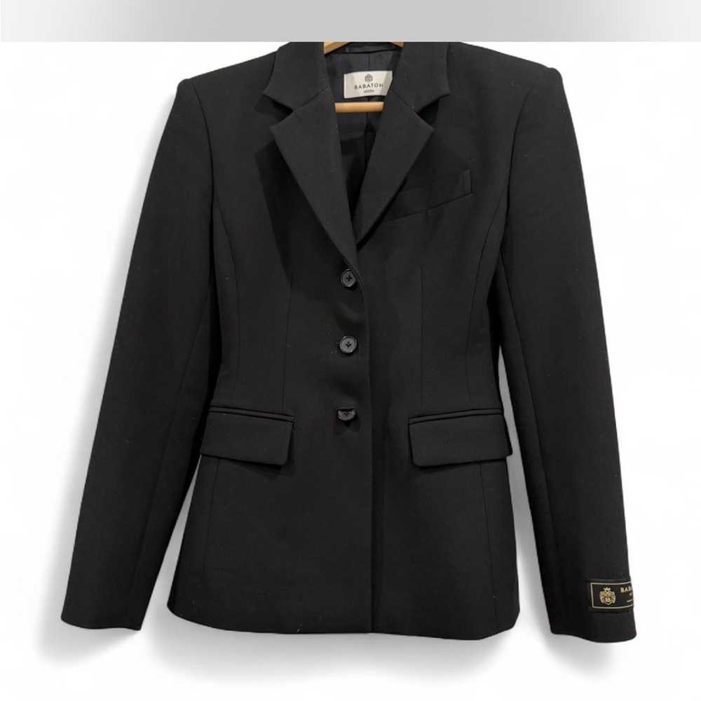 Aritzia Babaton Standout blazer